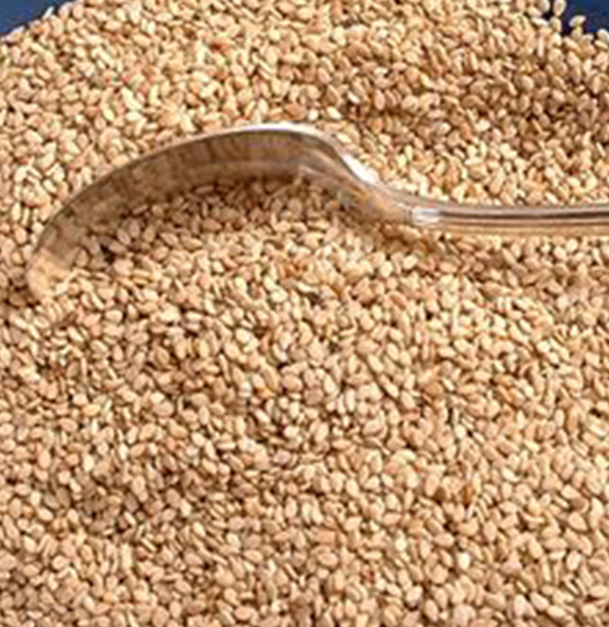 Sesame Seeds